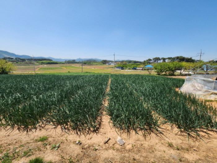 전북특별자치도 부안군 주산면 갈촌리 226-1 전 경매 사진 24