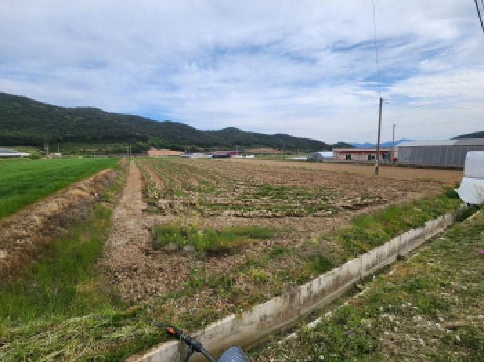 전북특별자치도 부안군 주산면 갈촌리 226-1 전 경매 사진 29