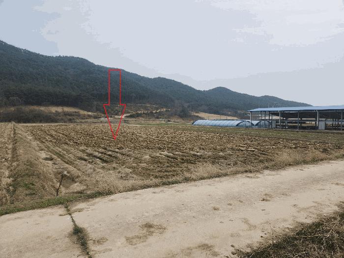 전북특별자치도 부안군 주산면 갈촌리 226-1 전 경매 사진 6