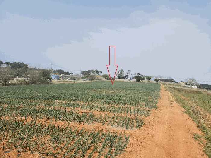 전북특별자치도 부안군 주산면 갈촌리 226-1 전 경매 사진 9