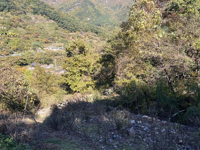경상남도 밀양시 단장면 구천리 260 임야 경매 사진 16