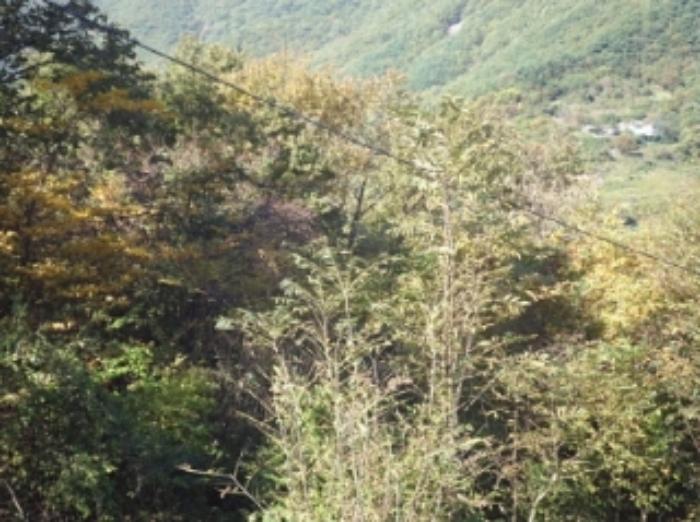 경상남도 밀양시 단장면 구천리 260 임야 경매 사진 23
