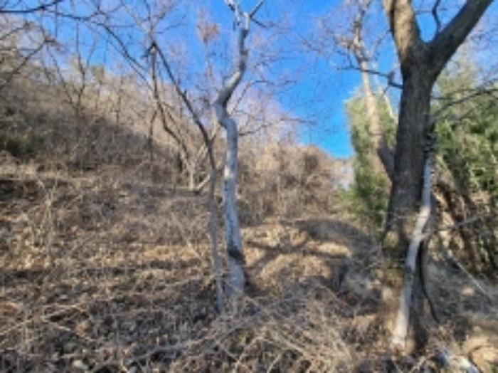 경상남도 남해군 상주면 양아리 614 전 경매 사진 2