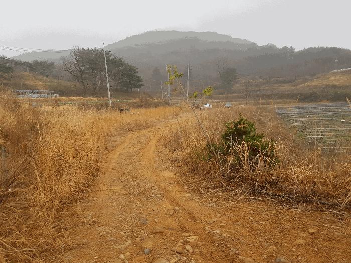 경상남도 하동군 양보면 통정리 15 답 경매 사진 3