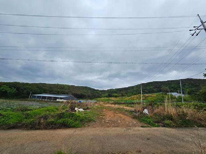 경상남도 하동군 양보면 통정리 15 답 경매 사진 5
