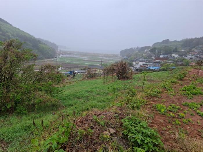 경상남도 남해군 서면 정포리 565-1 전 경매 사진 12