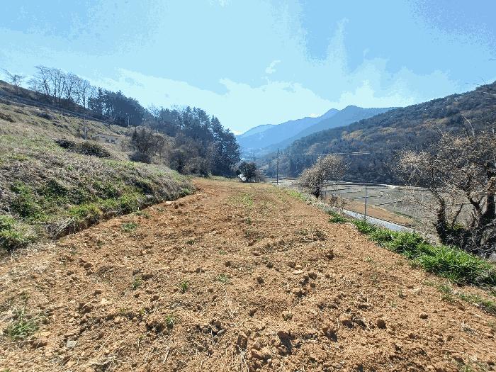 경상남도 남해군 서면 정포리 565-1 전 경매 사진 7