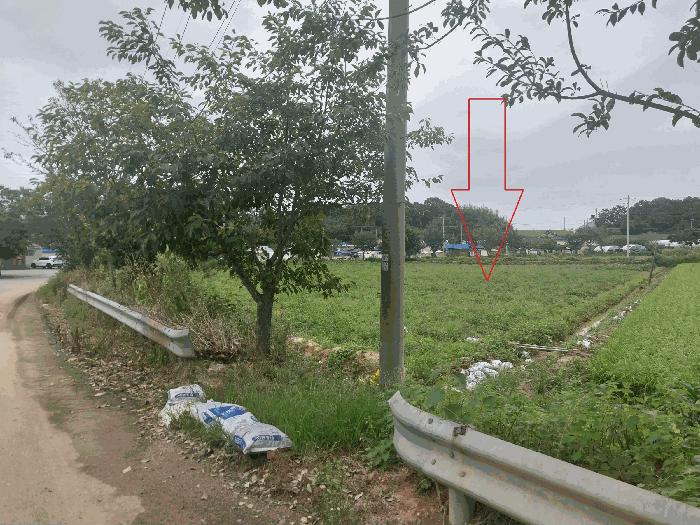 전북특별자치도 고창군 대산면 해룡리 865-3 답 경매 사진 3