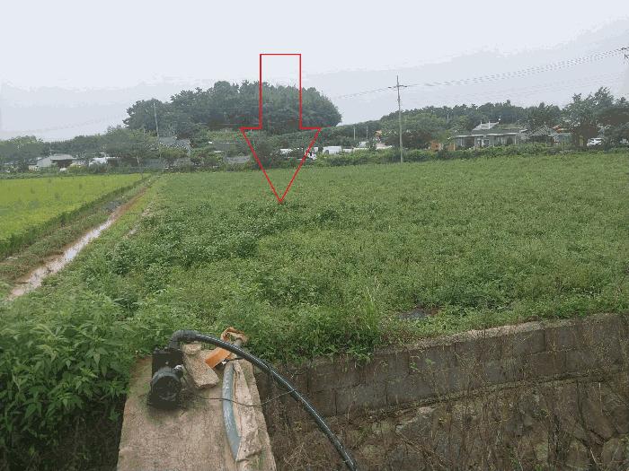 전북특별자치도 고창군 대산면 해룡리 865-3 답 경매 사진 4