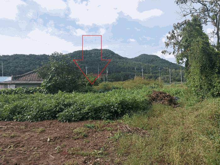 전북특별자치도 부안군 보안면 우동리 184 대지 경매 사진 2