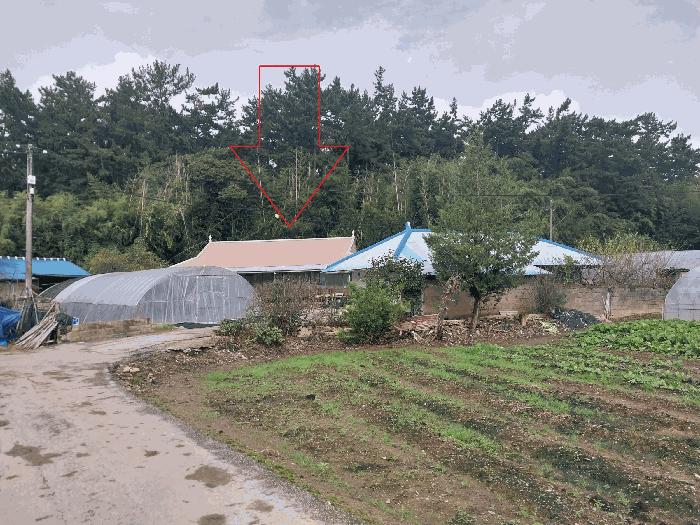 전북특별자치도 정읍시 소성면 기린리 357-2 전 경매 사진 4