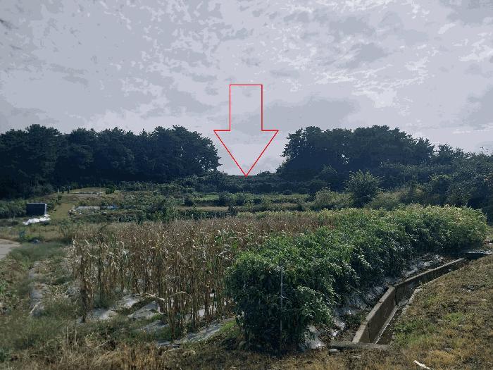 전북특별자치도 정읍시 소성면 기린리 357-2 전 경매 사진 6
