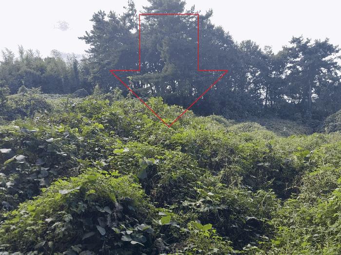 전북특별자치도 정읍시 소성면 기린리 289 대지 경매 사진 2
