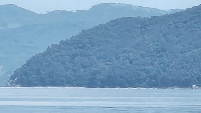 경상남도 거제시 하청면 석포리 산1 임야 경매 사진 2