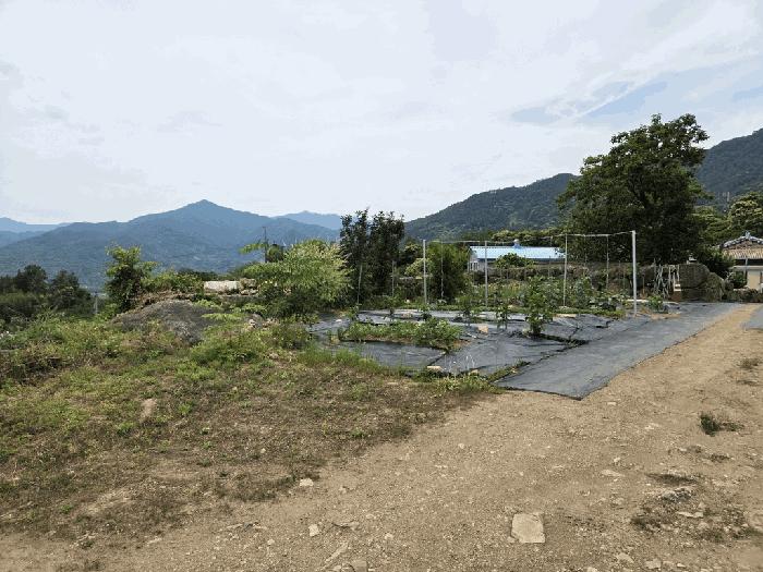 경상남도 하동군 악양면 입석리 570 임야 경매 사진 3