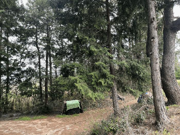 경상남도 남해군 창선면 오용리 산186 임야 경매 사진 1
