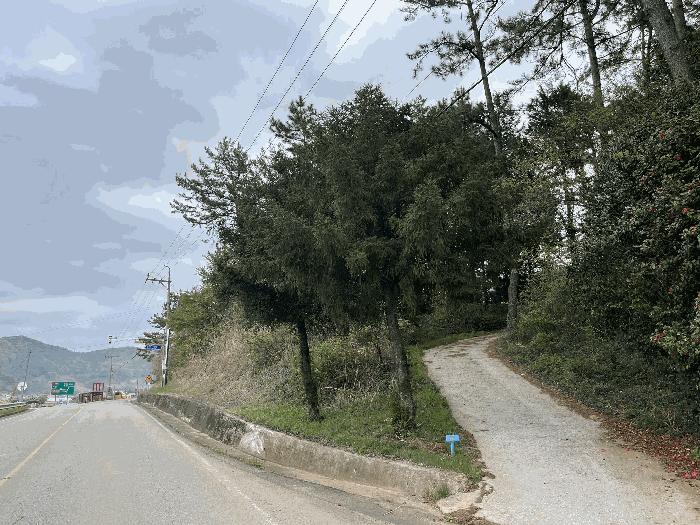 경상남도 남해군 창선면 오용리 산186 임야 경매 사진 3