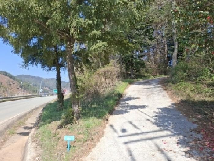 경상남도 남해군 창선면 오용리 산186 임야 경매 사진 6