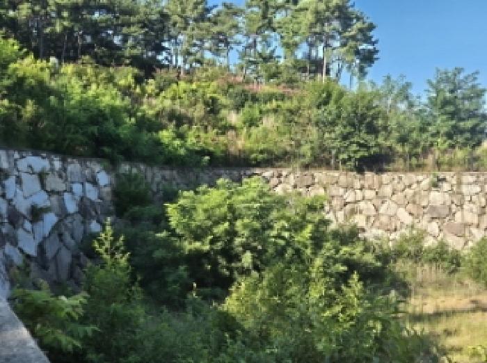 경상남도 고성군 회화면 봉동리 169-8 임야 경매 사진 10
