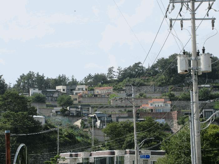 경상남도 고성군 회화면 봉동리 169-8 임야 경매 사진 9