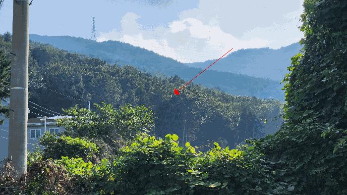 경상남도 거제시 고현동 산85-3 임야 경매 사진 4