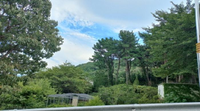 경상남도 거제시 고현동 산85-3 임야 경매 사진 7