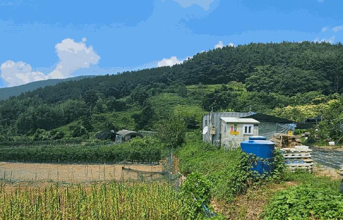 경상남도 거제시 대지