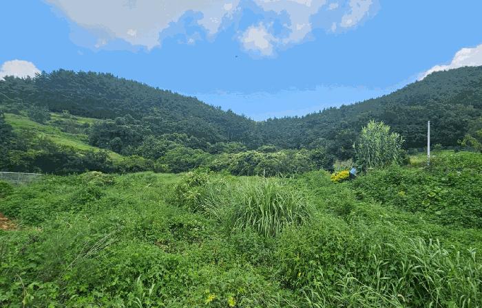 경상남도 거제시 동부면 부춘리 615 대지 경매 사진 2