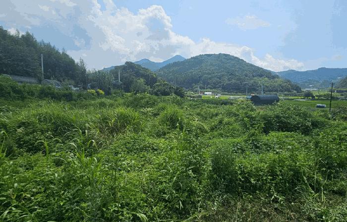경상남도 거제시 동부면 부춘리 615 대지 경매 사진 3