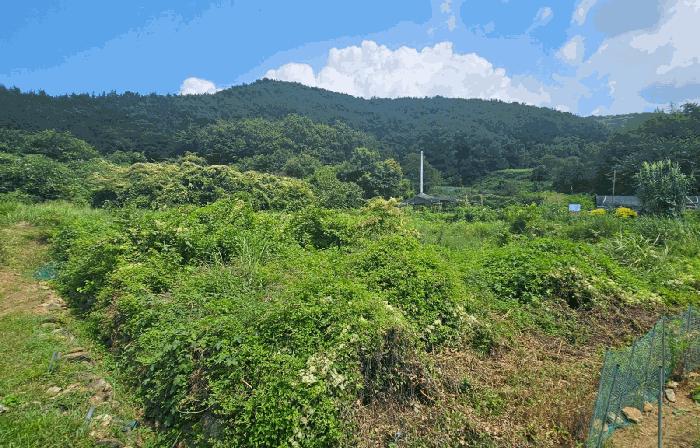경상남도 거제시 동부면 부춘리 615 대지 경매 사진 4