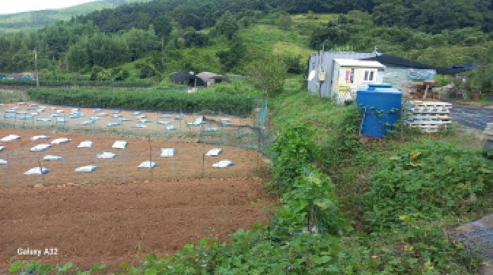 경상남도 거제시 동부면 부춘리 615 대지 경매 사진 5