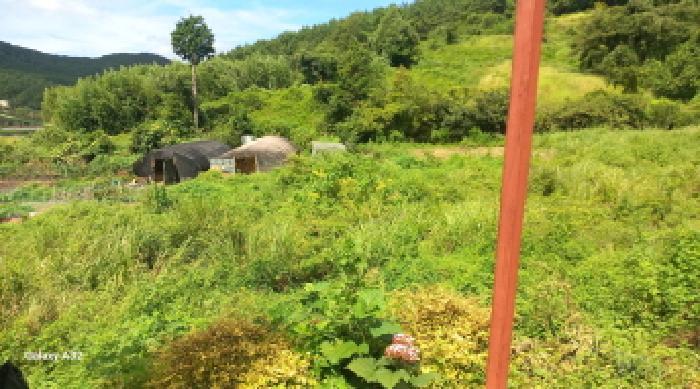 경상남도 거제시 동부면 부춘리 615 대지 경매 사진 6