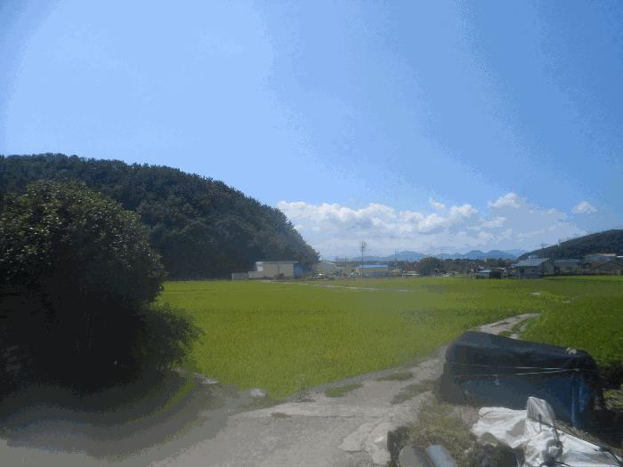 경상남도 고성군 하이면 사곡리 446-1 답 경매 사진 4