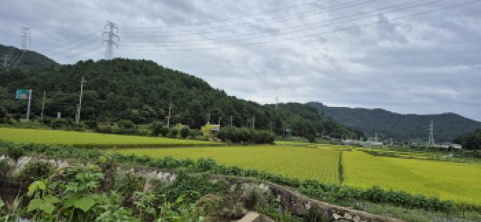 경상남도 고성군 하이면 덕호리 583-2 답 경매 사진 15
