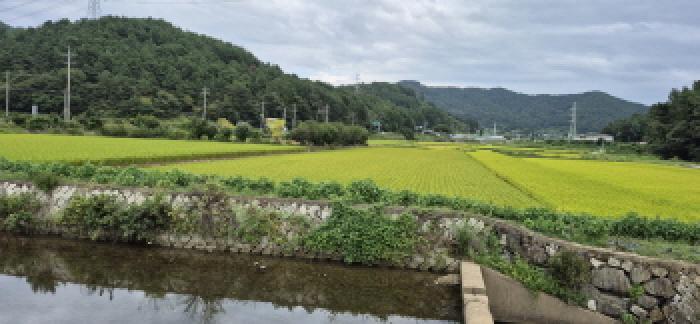 경상남도 고성군 하이면 덕호리 583-2 답 경매 사진 16