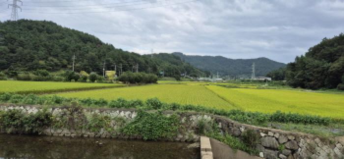 경상남도 고성군 하이면 덕호리 583-2 답 경매 사진 17