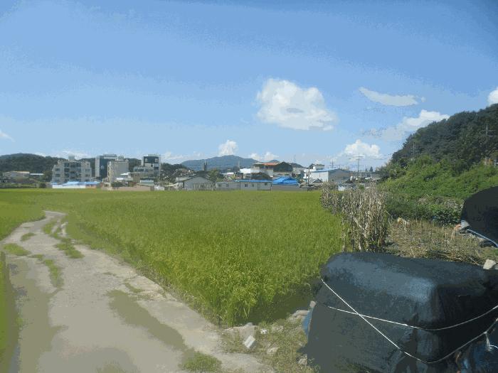 경상남도 고성군 하이면 덕호리 583-2 답 경매 사진 2