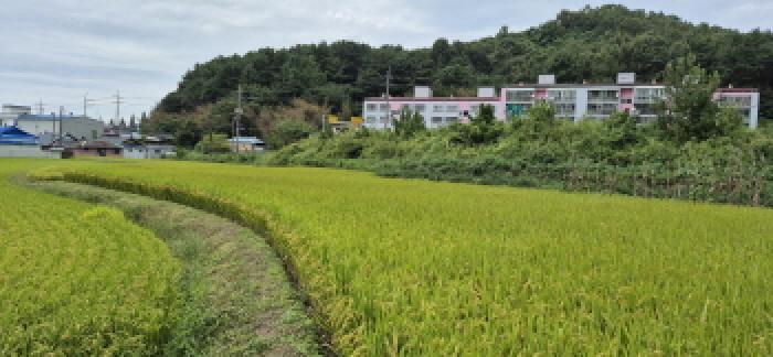 경상남도 고성군 하이면 덕호리 583-2 답 경매 사진 20