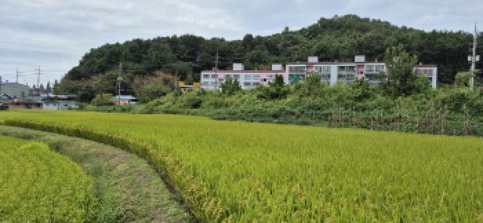 경상남도 고성군 하이면 덕호리 583-2 답 경매 사진 21