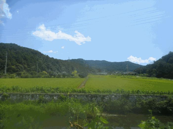 경상남도 고성군 하이면 덕호리 583-2 답 경매 사진 3