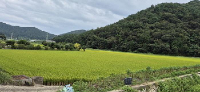 경상남도 고성군 하이면 덕호리 583-2 답 경매 사진 5