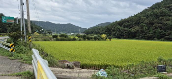 경상남도 고성군 하이면 덕호리 583-2 답 경매 사진 7
