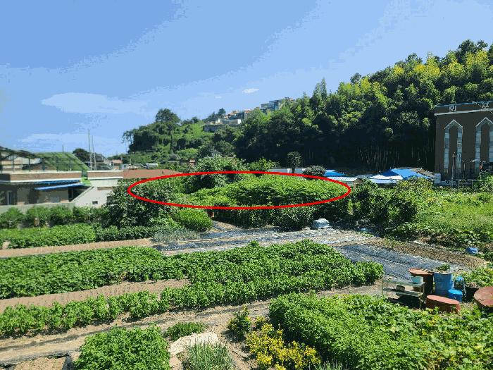 경상남도 거제시 장목면 외포리 1032 대지 경매 사진 1