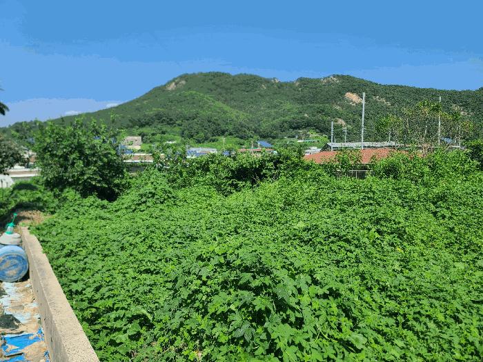 경상남도 거제시 장목면 외포리 1032 대지 경매 사진 2