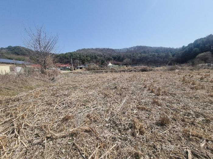 경기 파주시 답