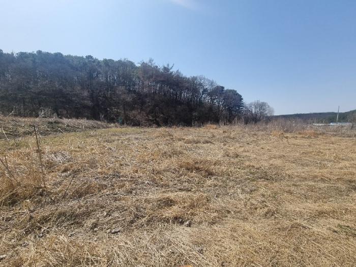 경기도 파주시 법원읍 법원리 359 답 경매 사진 4