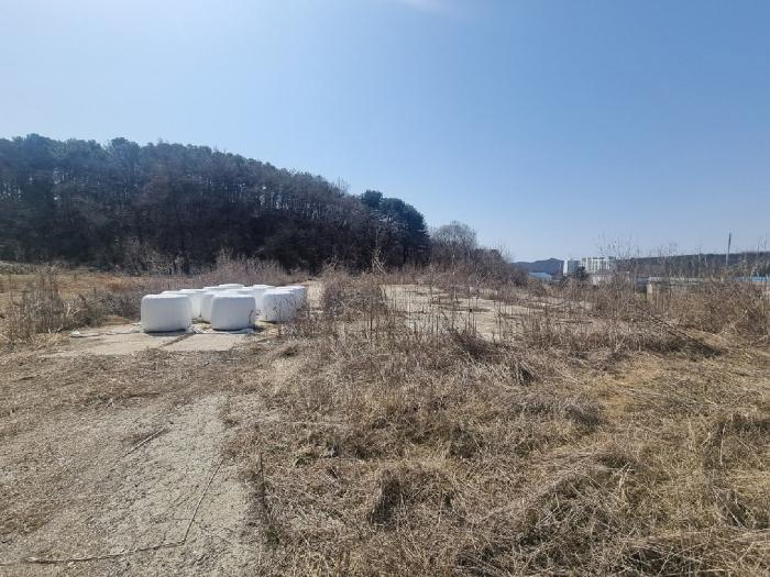 경기도 파주시 법원읍 법원리 359 답 경매 사진 5