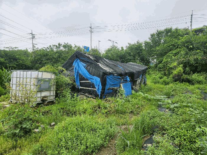 경기도 안산시 단원구 신길동 216-126 전 경매 사진 3