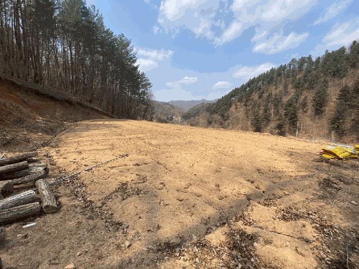 강원특별자치도 평창군 용평면 용전리 66 전 경매 사진 5