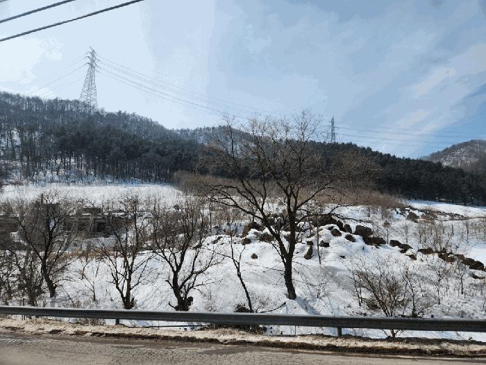 강원 정선군 전